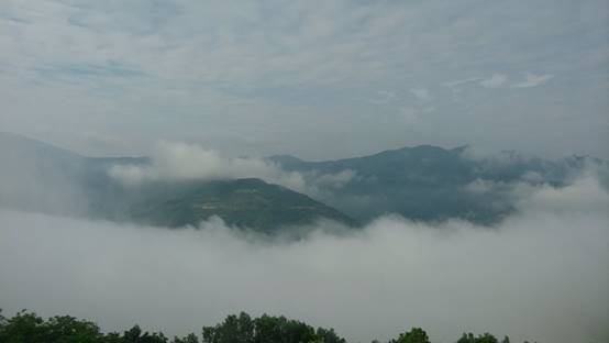 f131b2d7536af2ad5e5e5373a5a5e8d3.jpg image008.jpg